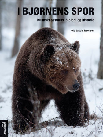 den-byr-kratiserte-bj-rnen