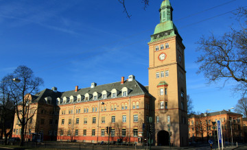 -nsker-egen-karrierevei-for-sykehusforskere