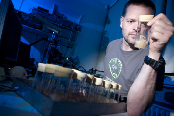 jakta-p--gjennomslag