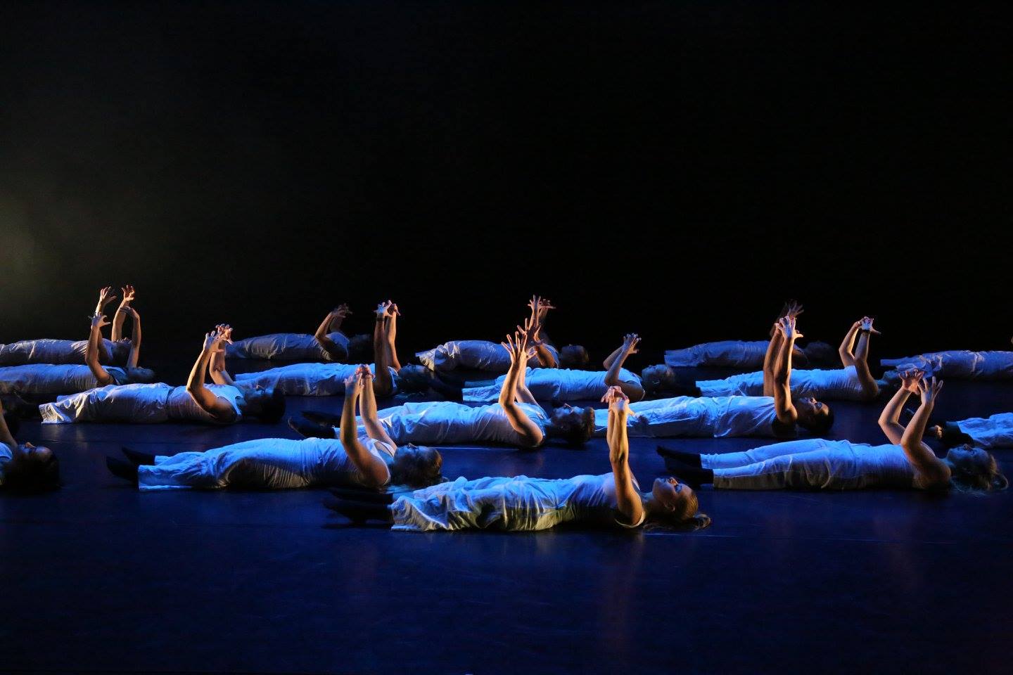 norges dansehøyskole