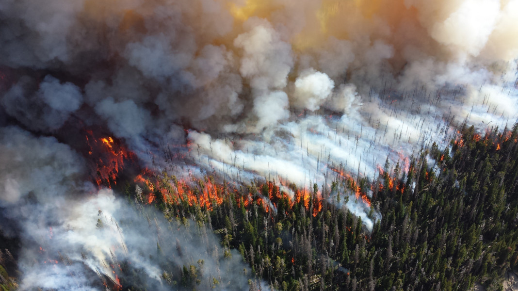This is a 2013 photo of the Alder Fire in Yellowstone National Park. Photo by Mike Lewelling, National Park Service
