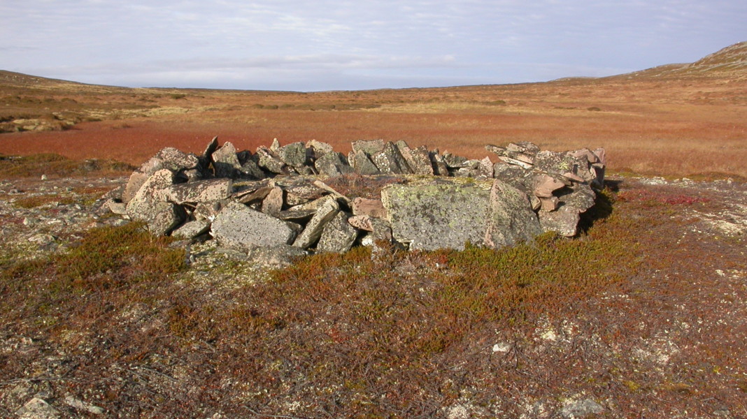 Samisk offerring. Nedenfor Falkefloget ved Svartnes i Vardø kommune ligger en steinring (d. 4-45 meter) med en steinrøys i midten. Ringen er registrert som en samisk offerring og ligger på en naken morenerygg godt synlig fra alle kanter. I nærheten passerer flere reinstier og en regner med at ringen er knytta til den gamle villreinfangsten i området. Den ligger i et område som er rikt på lignende kulturminner. Foto: Stine Barlindhaug, NIKU.