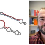 Langdryg retteprosess i topptidsskrift